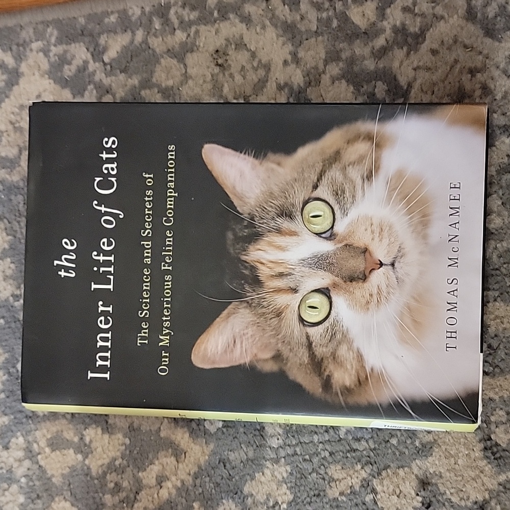 The inner life of cats